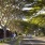 Wailuku Neighborhood