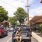 Girl on car with dog